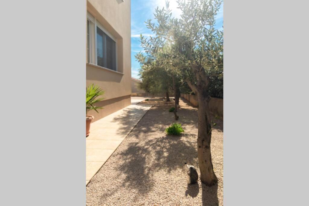 Apartment Natali Punat- Free Parking On Premises מראה חיצוני תמונה