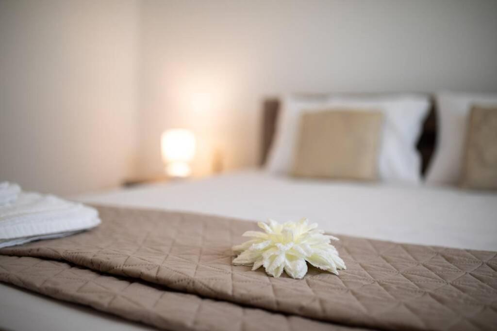 Apartment Natali Punat- Free Parking On Premises מראה חיצוני תמונה
